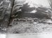 画像6: サイパンの戦い　太平洋戦争写真史