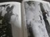 画像5: あの雲のかなたに　飛行第九八戦隊誌（四式重爆飛龍雷撃隊）