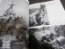 画像6: 太平洋戦・開戦前夜の日本軍艦写真集