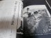 画像8: 太平洋戦争　日本軍艦戦記