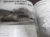 画像15: グランドパワー 2010/12　特集　日本陸軍一式/三式中戦車と二式砲戦車