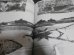 画像14: 日米戦争　ガダルカナル　地獄の戦場総検証