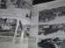 画像4: Panzer Colors （ドイツ軍機甲部隊写真、イラスト集1939-1945　英文）