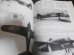 画像8: 日本海軍機の塗装とマーキング　戦闘機編