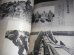 画像5: 1億人の昭和史　日本の戦史2　満州事変