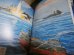 画像6: ソロモンの激闘―ガダルカナル島争奪を巡る日米機動部隊総力戦の全貌 (歴史群像 太平洋戦史シリーズ Vol. 59) 