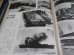 画像22: 帝国連合艦隊  写真図説 日本海軍100年史