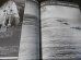 画像7: 写真　太平洋戦争　全５冊