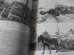 画像8: 重戦車大隊記録集　1　陸軍編（ドイツ軍タイガー、キングタイガー戦車の戦い）