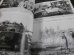 画像5: 戦車マガジン別冊 第2次大戦 軍用車両写真集 ドイツ陸軍 Vol.1