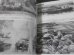 画像8: ドイツ本土防衛戦　激闘西部戦線（5）　（グランドパワー別冊）