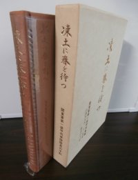 関東軍第一装甲列車隊　旧満州第四三七〇部隊隊員の手記　凍土に春を待つ