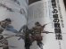 画像7: 戦乱北陸の覇者　前田利家の武勇と戦略　槍の又左から加賀宰相へ