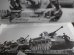 画像6: 第二次大戦のドイツ戦車　4号戦車写真集　航空ファン別冊