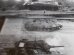 画像7: 世界最強ドイツのレオパルト戦車写真集