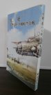 画像1: 壮絶　私の大陸、沖縄航空決戦（飛行第九〇戦隊所属） (1)