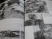 画像11: ドイツ戦車師団戦場写真集1935-45（3）（英書）