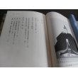 画像2: 前田利家・利長軍記　日本合戦騒動叢書 (2)