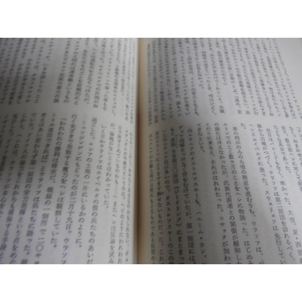 画像4: 幻影　ヒトラーの側で戦った赤軍兵たちの物語 (4)