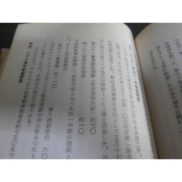 画像5: 濠北を征く（濠北方面の戦いの記録） (5)