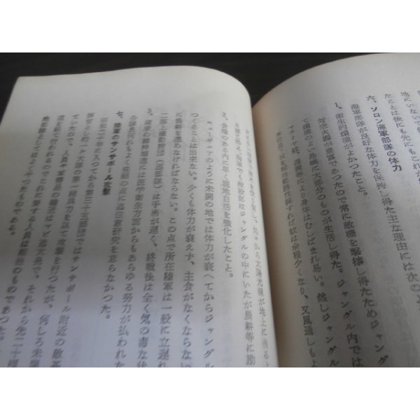 画像7: 濠北を征く（濠北方面の戦いの記録） (7)