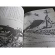 画像4: 日米太平洋空戦史 (4)