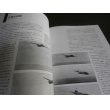 画像3: 太平洋戦争の三菱一式陸上攻撃機　部隊と戦歴 (3)