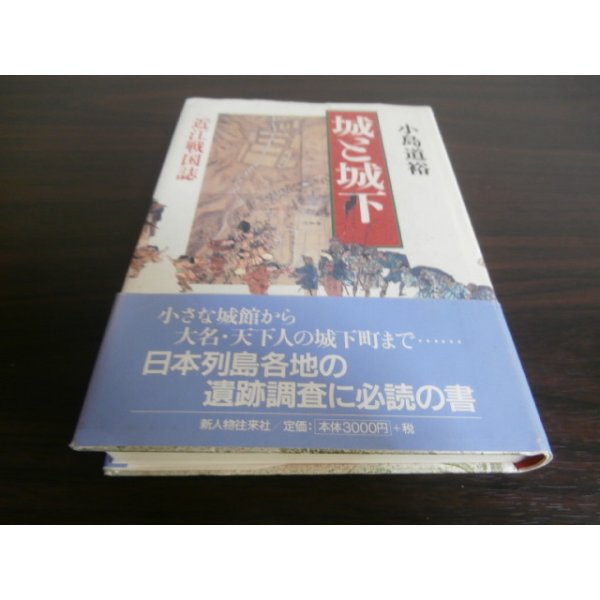 画像1: 城と城下町-近江戦国誌- (1)