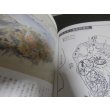 画像4: タラカン島絵戦記（独立歩兵第四五五大隊） (4)