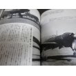 画像5: 写真集　日本の爆撃機　丸グラフィッククォータリー10 (5)