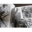 画像4: 第2次大戦　ドイツ武装親衛隊　グランドパワー別冊 (4)