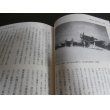 画像5: 源田の剣　米軍が見た「紫電改」戦闘機隊 (5)