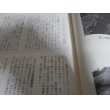 画像6: 野砲兵第十聯隊戦没者追悼記念誌（鉄兵団こと第十師団砲兵部隊バレテ峠の死闘！） (6)