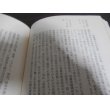 画像6: 戦塵録　（三式戦飛燕戦記小説） (6)