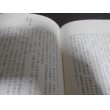 画像5: 戦塵録　（三式戦飛燕戦記小説） (5)