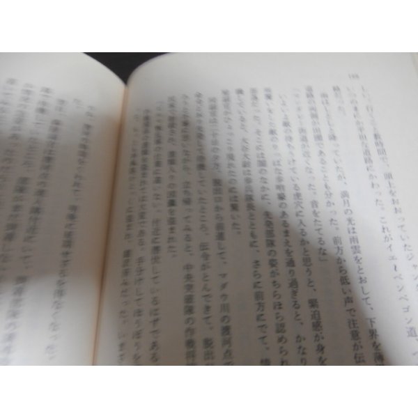 画像7: ビルマの地獄戦　第二次大戦秘話（独立自動車第五十五大隊） (7)