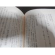 画像10: 勝鬨の激闘（昭和20年8月独立歩兵第七八三大隊、東満国境要塞勝鬨陣地での死闘） (10)