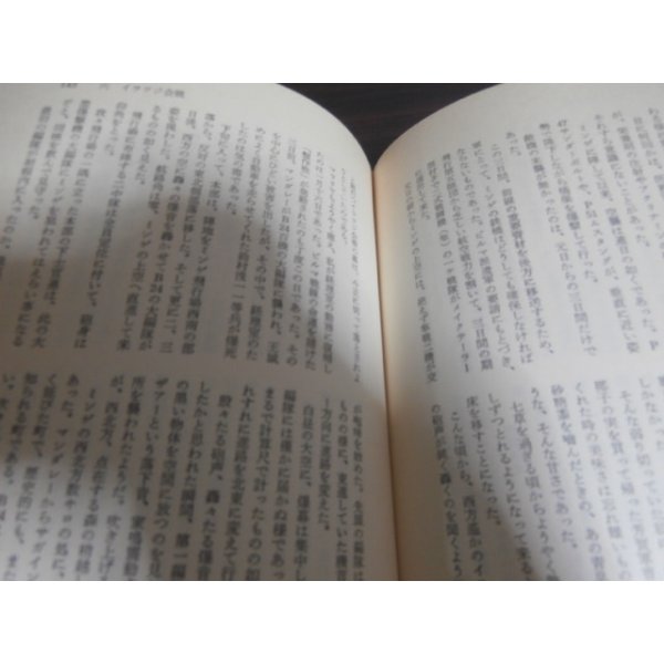 画像7: ビルマ高射砲隊（野戦高射砲第五十一大隊） (7)