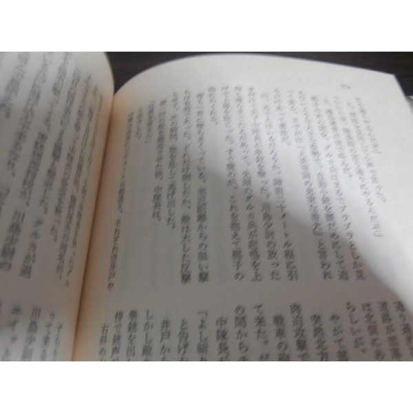 画像8: ビルマ高射砲隊（野戦高射砲第五十一大隊） (8)