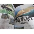 画像3: 硫黄島の戦い　別冊歴史読本 (3)