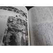 画像8: 海軍零戦隊撃墜戦記1、2、3　3冊 (8)