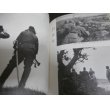 画像6: 蹄のあと　馬と兵隊の記録（第二師団第五兵站輜重兵中隊、写真多数掲載） (6)