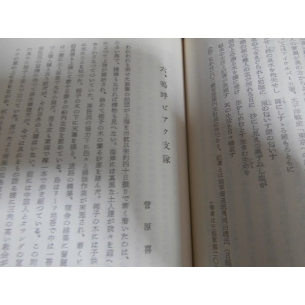 画像9: 濠北を征く（濠北方面の戦いの記録） (9)