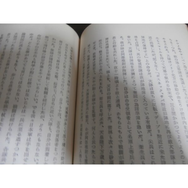 画像10: 濠北を征く（濠北方面の戦いの記録） (10)