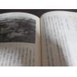 画像4: 台湾終戦秘史　日本の植民地時代とその終焉 (4)
