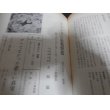 画像11: 撃墜　ノモンハン空戦実記ほか　太平洋戦争ドキュメンタリー第24巻 (11)