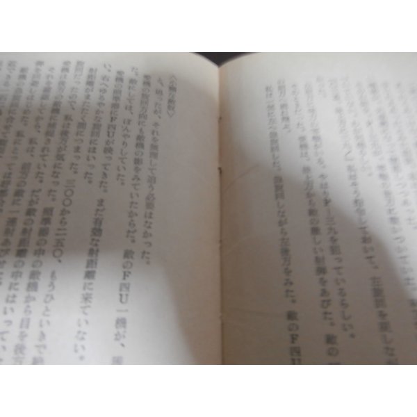 画像11: 大空のコンバット　零戦とともに (11)