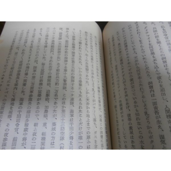 画像17: 濠北を征く（濠北方面の戦いの記録） (17)