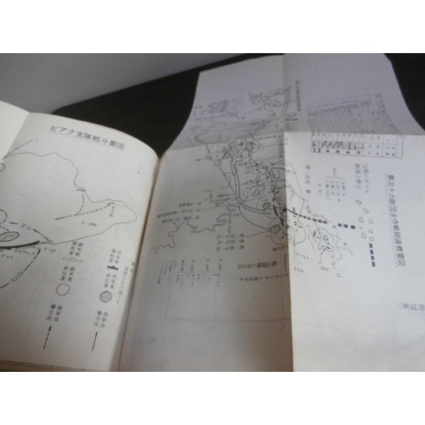 画像19: 濠北を征く（濠北方面の戦いの記録） (19)