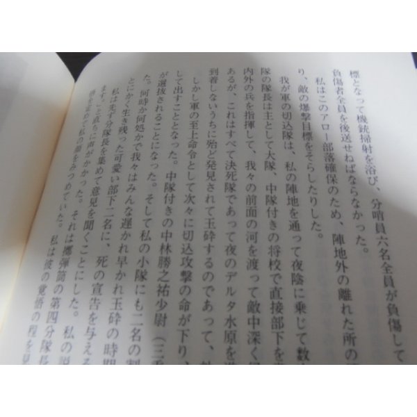 画像11: 新しき国生み　ビルマ戦線従軍記（歩兵第二百十五聯隊） (11)